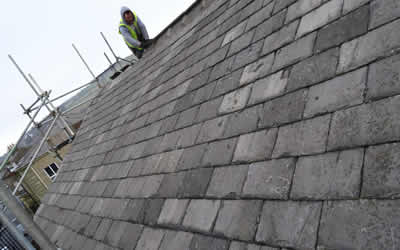 roof repair Burgess Hill